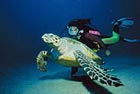 Diving with turtles in Colombia