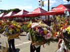 Feria de las Flores en Medellin