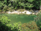Vista desde las Cabañas en Rio Claro